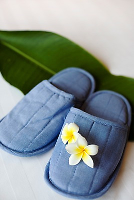 포토 JPG 해외기획촬영 꽃잎 꽃 기획촬영 2009년태국 신발 잎 태국 나뭇잎 슬리퍼 실내 근접촬영 사람없음 아웃포커스 장식 세로 동남아시아 오브젝트 한켤레 플루메리아 국내포토 식물 1 아시아 뷰포인트 촬영기법 내부 파일형식