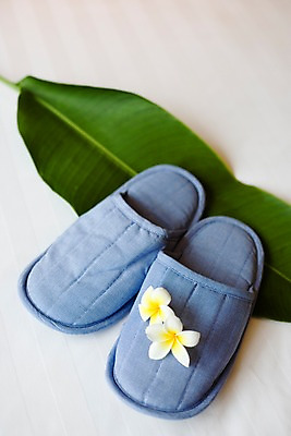 포토 JPG 해외기획촬영 꽃잎 꽃 기획촬영 2009년태국 신발 잎 태국 나뭇잎 슬리퍼 실내 근접촬영 사람없음 장식 세로 동남아시아 오브젝트 한켤레 플루메리아 국내포토 식물 1 아시아 뷰포인트 내부 파일형식