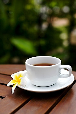 포토 JPG 해외기획촬영 해외 꽃 나라 커피 음료 음식 해외여행 여행 기획촬영 2009년태국 태국 탁자 잔 한잔 사람없음 아웃포커스 장식 컵 동남아시아 커피잔 찻잔 컵받침 지명 국내포토 식물 1 식기 아시아 가구 촬영기법 받침대 파일형식