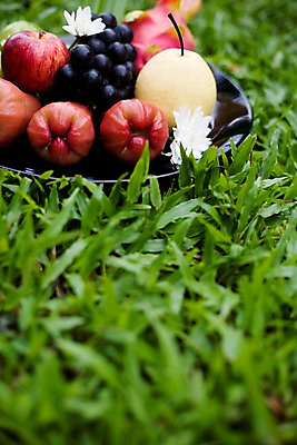 포토 JPG 식물 해외기획촬영 해외 접시 열매 꽃 나라 아시아 음식 외국문화 해외여행 여행 기획촬영 2009년태국 과일 태국 포도 나뭇잎 태국문화 근접촬영 잔디 사람없음 아웃포커스 장식 동남아시아 배 사과 열대과일 용과 드레곤푸르츠 지명 국내포토 동양문화 식기 문화 뷰포인트 잎 촬영기법 파일형식