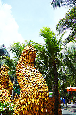 포토 JPG 주간 나무 식물 구름 해외기획촬영 해외 공원 나라 아시아 음식 외국문화 해외여행 여행 기획촬영 2009년태국 파타야 태국 하늘 태국문화 옥수수 사람없음 야외 야자수 정원 동남아시아 파라솔 열대식물 농녹빌리지 지명 국내포토 자연요소 동양문화 공공시설 문화 곡류 파일형식