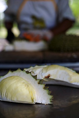 포토 JPG 식물 해외기획촬영 해외 열매 나라 아시아 음식 외국문화 해외여행 여행 기획촬영 2009년태국 과일 태국 태국문화 한명 사람 아웃포커스 동남아시아 상인 열대과일 두리안 투리안 지명 국내포토 1 동양문화 문화 촬영기법 파일형식