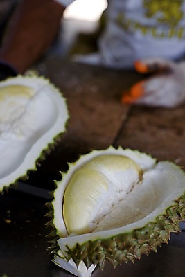 포토 JPG 식물 해외기획촬영 해외 열매 나라 아시아 음식 외국문화 해외여행 여행 기획촬영 2009년태국 과일 태국 단면 태국문화 한명 사람 아웃포커스 동남아시아 상인 열대과일 두리안 투리안 지명 국내포토 1 동양문화 문화 촬영기법 파일형식