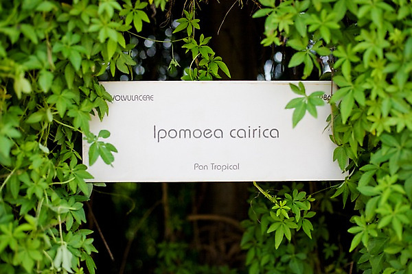 포토 JPG 주간 식물 해외기획촬영 문자 해외 나라 아시아 외국문화 해외여행 여행 기획촬영 2009년태국 파타야 태국 태국문화 사람없음 야외 아웃포커스 농장 정원 동남아시아 표지판 풀잎 농녹빌리지 지명 국내포토 자연요소 동양문화 공원 문화 잎 농업 알림판 촬영기법 풀_식물 파일형식