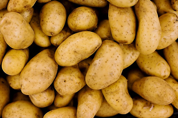 포토 JPG 식물 해외기획촬영 해외 나라 아시아 음식 외국문화 해외여행 여행 기획촬영 2009년태국 채소 식재료 태국 감자 태국문화 근접촬영 사람없음 동남아시아 시장 마트 지명 국내포토 동양문화 문화 뷰포인트 상점 파일형식