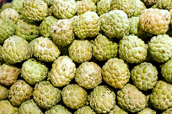 포토 JPG 식물 해외기획촬영 해외 나라 아시아 음식 외국문화 해외여행 여행 기획촬영 2009년태국 과일 태국 태국문화 근접촬영 사람없음 쌓기 동남아시아 시장 열대과일 마트 과일가게 지명 국내포토 동양문화 문화 뷰포인트 모션 상점 파일형식