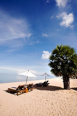 포토 JPG 주간 나무 식물 구름 해외기획촬영 해외 나라 아시아 바다 외국문화 해외여행 여행 기획촬영 2009년태국 파타야 태국 하늘 휴가 태국문화 그림자 풍경 해변 사람없음 야외 모래사장 야자수 동남아시아 파라솔 그늘 열대식물 선베드 지명 국내포토 자연요소 동양문화 문화 의자 파일형식
