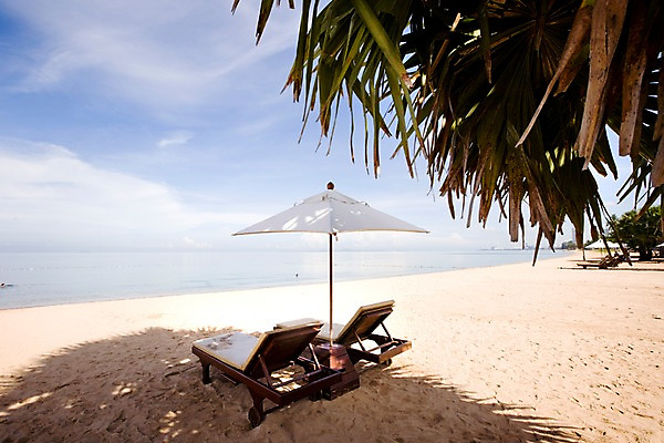 포토 JPG 주간 나무 식물 구름 해외기획촬영 해외 나라 아시아 바다 외국문화 해외여행 여행 기획촬영 2009년태국 파타야 태국 하늘 휴가 태국문화 그림자 풍경 해변 사람없음 야외 모래사장 야자수 동남아시아 파라솔 그늘 열대식물 선베드 지명 국내포토 자연요소 동양문화 문화 의자 파일형식