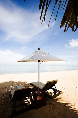 포토 JPG 주간 나무 식물 구름 해외기획촬영 해외 나라 아시아 바다 외국문화 해외여행 여행 기획촬영 2009년태국 파타야 태국 하늘 휴가 태국문화 그림자 풍경 해변 사람없음 야외 모래사장 야자수 동남아시아 파라솔 그늘 선베드 지명 국내포토 자연요소 동양문화 문화 의자 파일형식