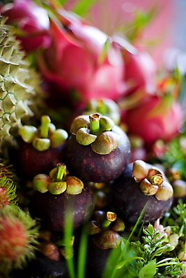 포토 JPG 식물 해외기획촬영 해외 열매 나라 아시아 음식 외국문화 해외여행 여행 기획촬영 2009년태국 과일 태국 태국문화 근접촬영 사람없음 아웃포커스 동남아시아 여러개 열대과일 용과 두리안 드레곤푸르츠 망고스틴 투리안 지명 국내포토 동양문화 문화 뷰포인트 다수 촬영기법 파일형식