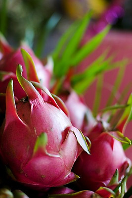 포토 JPG 식물 해외기획촬영 해외 열매 나라 아시아 음식 컬러 외국문화 해외여행 여행 기획촬영 2009년태국 과일 태국 태국문화 근접촬영 사람없음 아웃포커스 동남아시아 여러개 자주색 열대과일 용과 드레곤푸르츠 지명 트로피컬아트 국내포토 동양문화 문화 뷰포인트 다수 촬영기법 그림 파일형식