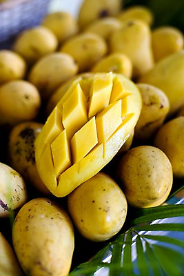 포토 JPG 식물 해외기획촬영 해외 열매 나라 아시아 음식 컬러 외국문화 해외여행 여행 기획촬영 2009년태국 과일 태국 태국문화 근접촬영 사람없음 아웃포커스 노란색 동남아시아 여러개 열대과일 망고 지명 국내포토 동양문화 문화 뷰포인트 다수 촬영기법 파일형식