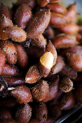 포토 JPG 식물 해외기획촬영 해외 열매 나라 아시아 음식 외국문화 해외여행 여행 기획촬영 2009년태국 과일 태국 태국문화 근접촬영 사람없음 아웃포커스 동남아시아 여러개 열대과일 라캄 셀렉타 지명 국내포토 동양문화 문화 뷰포인트 다수 촬영기법 파일형식