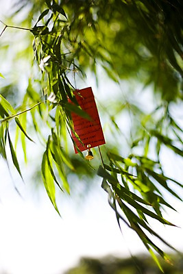 포토 JPG 주간 나무 식물 해외기획촬영 해외 나라 아시아 종이 외국문화 해외여행 여행 기획촬영 2009년태국 잎 태국 전통소품 태국문화 사람없음 야외 동남아시아 초인종 종 기도 대나무 오브젝트 소원 대나무잎 소원빌기 지명 국내포토 자연요소 동양문화 전통 문화 파일형식