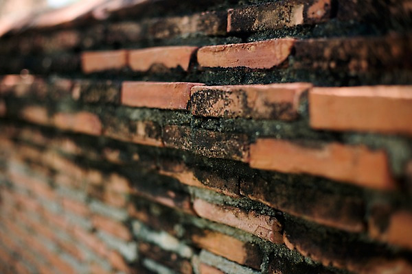 포토 JPG 해외기획촬영 해외 시설물 현대건축 건축 나라 아시아 벽 외국문화 해외여행 여행 기획촬영 2009년태국 해외건축 태국 벽돌 돌담 태국문화 국립공원 이끼 근접촬영 사람없음 아웃포커스 관광지 담장 동남아시아 건축부분 무왕보란 지명 국내포토 동양문화 건축물 공원 문화 뷰포인트 촬영기법 돌_바위 방콕 파일형식