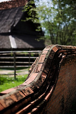 포토 JPG 주간 나무 식물 해외기획촬영 해외 시설물 건축물 공원 현대건축 건축 나라 아시아 외국문화 해외여행 여행 기획촬영 2009년태국 해외건축 태국 벽돌 주택 돌담 태국문화 국립공원 이끼 사람없음 야외 건물 아웃포커스 관광지 울타리 담장 동남아시아 건축부분 무왕보란 지명 국내포토 자연요소 동양문화 공공시설 문화 촬영기법 돌_바위 방콕 파일형식