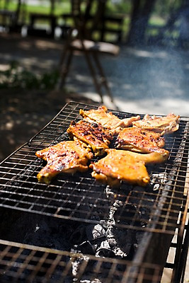 포토 JPG 주간 해외기획촬영 해외 나라 아시아 음식 외국문화 해외여행 여행 기획촬영 2009년태국 태국 태국문화 육류 요리 사람없음 야외 아웃포커스 동남아시아 그릴 바비큐 구이 숯불 숯불구이 태국음식 지명 국내포토 자연요소 동양문화 문화 식재료 주방용품 촬영기법 동양음식 파일형식