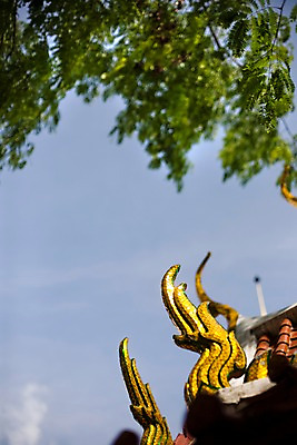 포토 JPG 주간 나무 식물 구름 해외기획촬영 해외 시설물 건축물 공원 현대건축 건축 나라 아시아 외국문화 해외여행 여행 기획촬영 2009년태국 고건축 해외건축 태국 하늘 태국문화 국립공원 사람없음 야외 아웃포커스 장식 관광지 전통무늬 전통문양 동남아시아 건축부분 무왕보란 지명 국내포토 자연요소 동양문화 전통 문양 공공시설 문화 무늬 촬영기법 방콕 파일형식