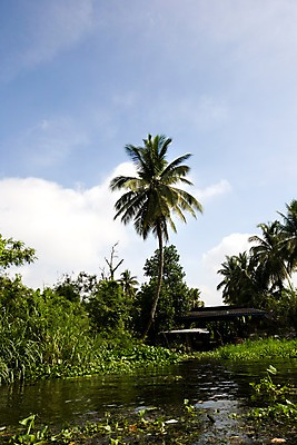 포토 JPG 주간 나무 식물 구름 해외기획촬영 해외 나라 아시아 외국문화 해외여행 여행 기획촬영 2009년태국 태국 하늘 태국문화 풍경 사람없음 야외 건물 야자수 동남아시아 연못 풀 열대식물 수상가옥 지명 국내포토 자연요소 동양문화 건축물 문화 주택 파일형식