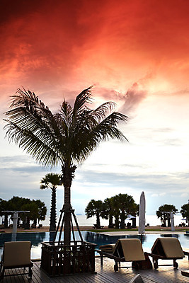 포토 JPG 주간 나무 식물 구름 해외기획촬영 해외 시설물 현대건축 건축 나라 아시아 바다 외국문화 해외여행 여행 기획촬영 2009년태국 스포츠시설 해외건축 태국 하늘 리조트 수영장 태국문화 해변 사람없음 야외 야자수 풀장 노을 동남아시아 일몰 파라솔 열대식물 휴양지 선베드 지명 국내포토 자연요소 동양문화 건축물 문화 스포츠 의자 장소 시설 파일형식