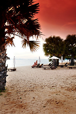 포토 JPG 주간 나무 식물 구름 해외기획촬영 해외 여자 남자 나라 아시아 바다 외국문화 해외여행 여행 기획촬영 2009년태국 파타야 태국 하늘 태국문화 사람 풍경 해변 야외 두명 모래사장 야자수 노을 동남아시아 일몰 파라솔 열대식물 휴양지 선베드 지명 국내포토 자연요소 동양문화 문화 의자 장소 파일형식