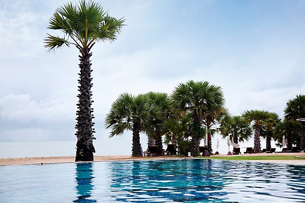 포토 JPG 주간 나무 식물 구름 해외기획촬영 해외 시설물 현대건축 건축 나라 아시아 바다 외국문화 해외여행 여행 기획촬영 2009년태국 스포츠시설 해외건축 태국 하늘 리조트 수영장 태국문화 해변 사람없음 야외 야자수 풀장 동남아시아 열대식물 휴양지 선베드 지명 국내포토 자연요소 동양문화 건축물 문화 스포츠 의자 장소 시설 파일형식