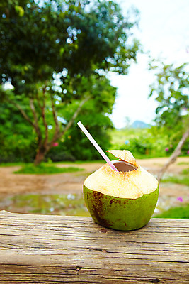 포토 JPG 주간 나무 식물 해외기획촬영 해외 공원 열매 나라 아시아 음료 음식 외국문화 해외여행 여행 기획촬영 2009년태국 파타야 태국 태국문화 빨대 사람없음 야외 아웃포커스 야자수 농장 정원 동남아시아 열대식물 코코넛 농녹빌리지 코코넛주스 지명 국내포토 자연요소 동양문화 공공시설 문화 농업 과일 촬영기법 주스 파일형식