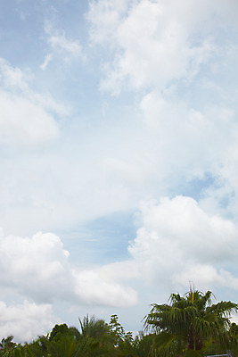 포토 JPG 주간 나무 식물 구름 해외기획촬영 해외 나라 아시아 외국문화 해외여행 여행 기획촬영 2009년태국 파타야 태국 하늘 태국문화 풍경 사람없음 야외 농장 정원 동남아시아 농녹빌리지 지명 국내포토 자연요소 동양문화 공원 문화 농업 파일형식