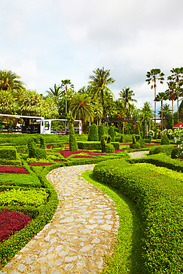 포토 JPG 주간 나무 식물 구름 해외기획촬영 해외 공원 나라 아시아 길 외국문화 해외여행 여행 기획촬영 2009년태국 파타야 태국 하늘 태국문화 풍경 사람없음 야외 야자수 농장 정원 동남아시아 카트 열대식물 조경 농녹빌리지 지명 국내포토 자연요소 동양문화 공공시설 문화 농업 파일형식