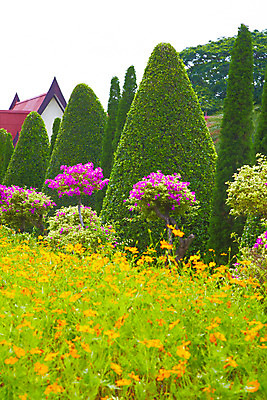 포토 JPG 주간 나무 식물 해외기획촬영 해외 건축물 꽃 나라 아시아 외국문화 해외여행 여행 기획촬영 2009년태국 꽃밭 파타야 태국 태국문화 사람없음 야외 건물 농장 정원 동남아시아 열대식물 조경 농녹빌리지 지명 국내포토 자연요소 동양문화 공원 건축 문화 농업 파일형식