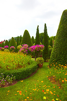 포토 JPG 주간 나무 식물 구름 해외기획촬영 해외 공원 꽃 나라 아시아 외국문화 해외여행 여행 기획촬영 2009년태국 꽃밭 파타야 태국 하늘 태국문화 사람없음 야외 농장 정원 동남아시아 조경 농녹빌리지 지명 국내포토 자연요소 동양문화 공공시설 문화 농업 파일형식