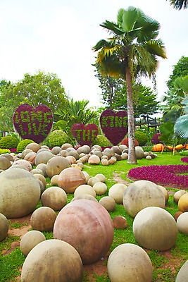 포토 JPG 주간 나무 식물 구름 해외기획촬영 해외 나라 아시아 외국문화 해외여행 여행 기획촬영 2009년태국 파타야 태국 하늘 태국문화 사람없음 야외 야자수 농장 정원 동남아시아 돌_바위 조약돌 하트 열대식물 조경 농녹빌리지 지명 국내포토 자연요소 모양 동양문화 공원 문화 농업 파일형식