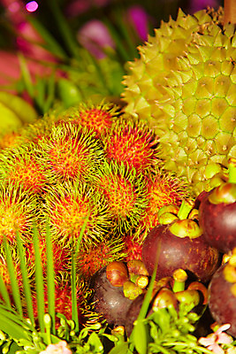 포토 JPG 식물 해외기획촬영 해외 열매 나라 아시아 음식 외국문화 해외여행 여행 기획촬영 2009년태국 과일 태국 태국문화 근접촬영 사람없음 아웃포커스 동남아시아 여러개 과수원 열대과일 두리안 람부탄 망고스틴 투리안 지명 국내포토 동양문화 문화 뷰포인트 다수 농업 촬영기법 파일형식