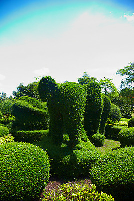 포토 JPG 주간 나무 식물 구름 해외기획촬영 해외 공원 나라 아시아 외국문화 해외여행 여행 기획촬영 2009년태국 태국 하늘 태국문화 풍경 사람없음 야외 정원 동남아시아 조경 지명 국내포토 자연요소 동양문화 공공시설 문화 파일형식