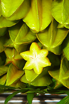 포토 JPG 식물 해외기획촬영 해외 열매 나라 아시아 별 음식 외국문화 해외여행 여행 기획촬영 2009년태국 과일 태국 태국문화 근접촬영 사람없음 동남아시아 여러개 과수원 열대과일 마푸앙 스타푸르츠 지명 국내포토 자연요소 동양문화 문화 뷰포인트 다수 농업 파일형식