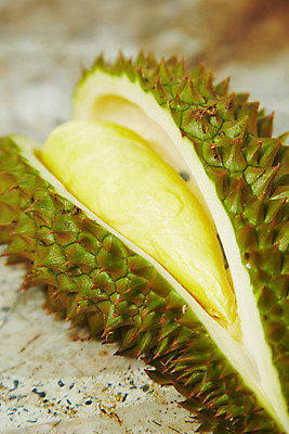 포토 JPG 식물 해외기획촬영 해외 열매 나라 아시아 음식 외국문화 해외여행 여행 기획촬영 2009년태국 과일 태국 태국문화 근접촬영 사람없음 아웃포커스 한개 동남아시아 과수원 열대과일 두리안 투리안 지명 국내포토 1 동양문화 문화 뷰포인트 농업 촬영기법 파일형식