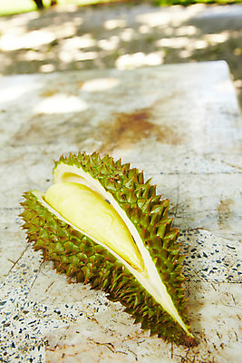 포토 JPG 식물 해외기획촬영 해외 열매 나라 아시아 음식 외국문화 해외여행 여행 기획촬영 2009년태국 과일 태국 태국문화 근접촬영 사람없음 한개 동남아시아 과수원 열대과일 두리안 투리안 지명 국내포토 1 동양문화 문화 뷰포인트 농업 파일형식