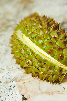포토 JPG 식물 해외기획촬영 해외 열매 나라 아시아 음식 외국문화 해외여행 여행 기획촬영 2009년태국 과일 태국 태국문화 근접촬영 사람없음 아웃포커스 한개 동남아시아 과수원 열대과일 두리안 투리안 지명 국내포토 1 동양문화 문화 뷰포인트 농업 촬영기법 파일형식