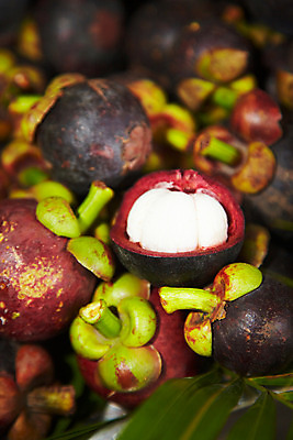 포토 JPG 식물 해외기획촬영 해외 열매 나라 아시아 음식 외국문화 해외여행 여행 기획촬영 2009년태국 과일 태국 태국문화 근접촬영 사람없음 아웃포커스 농장 동남아시아 과수원 열대과일 망고스틴 지명 국내포토 동양문화 문화 뷰포인트 농업 촬영기법 파일형식