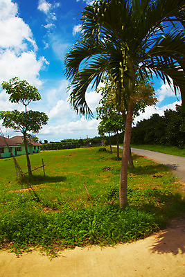 포토 JPG 주간 나무 식물 구름 해외기획촬영 해외 나라 아시아 길 외국문화 해외여행 여행 기획촬영 2009년태국 태국 하늘 태국문화 그림자 사람없음 야외 건물 농장 동남아시아 풀 과수원 지명 국내포토 자연요소 동양문화 건축물 문화 농업 파일형식