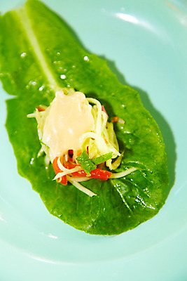 포토 JPG 해외기획촬영 해외 그릇 접시 아시아 음식 외국문화 해외여행 여행 기획촬영 2009년태국 채소 태국 태국문화 요리 근접촬영 사람없음 아웃포커스 동남아시아 샐러드 소스 상추 쏨땀 타이식샐러드 태국음식 국내포토 동양문화 식기 나라 문화 뷰포인트 촬영기법 양념 동양음식 파일형식