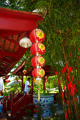 포토 JPG 주간 나무 식물 해외기획촬영 해외 여자 남자 나라 아시아 종교 화분 어린이 외국문화 해외여행 여행 기획촬영 2009년태국 불교 종교용품 태국 종교시설 지붕 태국문화 국립공원 사람 야외 두명 관광지 계단 동남아시아 사찰 사원 대나무 불교용품 방콕 연등 무왕보란 방문객 지명 어린이만 국내포토 자연요소 동양문화 공원 문화 비즈니스 종교건축 등불 시설 파일형식