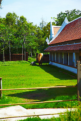 포토 JPG 주간 나무 동물 구름 해외기획촬영 척추동물 한마리 해외 시설물 공원 건축 나라 아시아 외국문화 해외여행 여행 기획촬영 2009년태국 포유류 해외건축 태국 하늘 주택 태국문화 국립공원 그림자 잔디 사람없음 야외 건물 관광지 울타리 동남아시아 소 방콕 무왕보란 지명 국내포토 자연요소 식물 1 동양문화 건축물 공공시설 문화 담장 파일형식