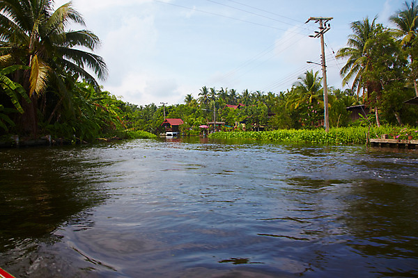 포토 JPG 주간 나무 식물 해외기획촬영 해외 나라 아시아 외국문화 해외여행 여행 기획촬영 2009년태국 태국 주택 태국문화 사람없음 야외 건물 관광지 강 야자수 동남아시아 전선 열대식물 전봇대 수상가옥 지명 국내포토 자연요소 동양문화 건축물 공공시설 문화 파일형식