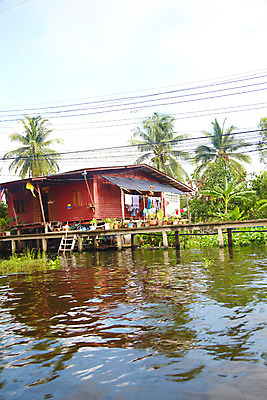 포토 JPG 주간 나무 식물 구름 해외기획촬영 해외 시설물 건축 나라 아시아 화분 외국문화 해외여행 여행 기획촬영 2009년태국 사다리 해외건축 태국 하늘 주택 태국문화 사람없음 야외 건물 관광지 강 야자수 동남아시아 전선 빨래 열대식물 수상가옥 가교 지명 국내포토 자연요소 동양문화 건축물 문화 가사 도구 파일형식
