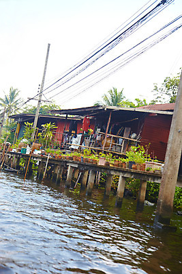 포토 JPG 주간 나무 식물 해외기획촬영 해외 시설물 건축 나라 아시아 화분 외국문화 해외여행 여행 기획촬영 2009년태국 고건축 난간 해외건축 태국 주택 태국문화 사람없음 야외 건물 관광지 강 야자수 동남아시아 전선 열대식물 전봇대 나무기둥 수상가옥 가교 지명 국내포토 자연요소 동양문화 건축물 공공시설 문화 파일형식