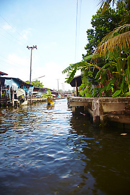 포토 JPG 주간 나무 식물 해외기획촬영 해외 시설물 건축 나라 아시아 외국문화 해외여행 여행 기획촬영 2009년태국 교통 수상교통 해외건축 태국 하늘 주택 태국문화 물그림자 사람없음 야외 건물 관광지 강 동남아시아 전선 나룻배 열대식물 전봇대 수상가옥 선박 지명 국내포토 자연요소 동양문화 건축물 공공시설 문화 교통수단 배_교통 그림자 파일형식