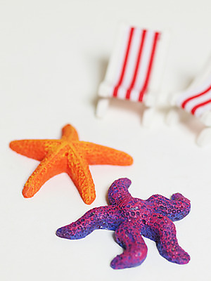 포토 JPG 동물 여행 불가사리 극피동물 사람없음 선베드 여행용품 국내포토 의자 오브젝트 파일형식