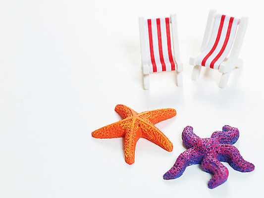 포토 JPG 동물 여행 불가사리 극피동물 누끼 사람없음 선베드 여행용품 국내포토 의자 오브젝트 파일형식