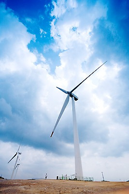 포토 JPG 주간 나무 식물 구름 로우앵글 백그라운드 자연 하늘 풍경 잔디 초원 사람없음 야외 울타리 목장 에너지 풍력에너지 큼 언덕 국내포토 자연요소 뷰포인트 담장 그린에너지 크기 생태계 파일형식